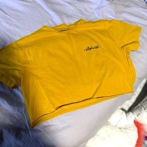 Alphalete Golden Hour Crop Top